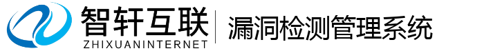 漏洞检测系统